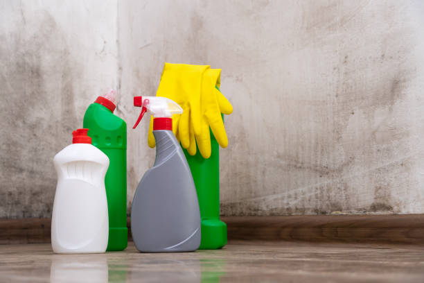 Why You Should Choose Our Mold Remediation Services in Ovilla, TX